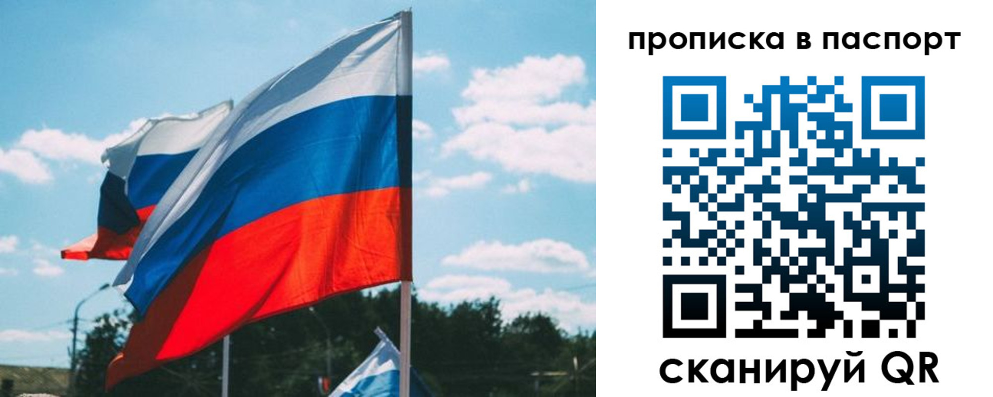 найти адрес прописки в Заполярном
